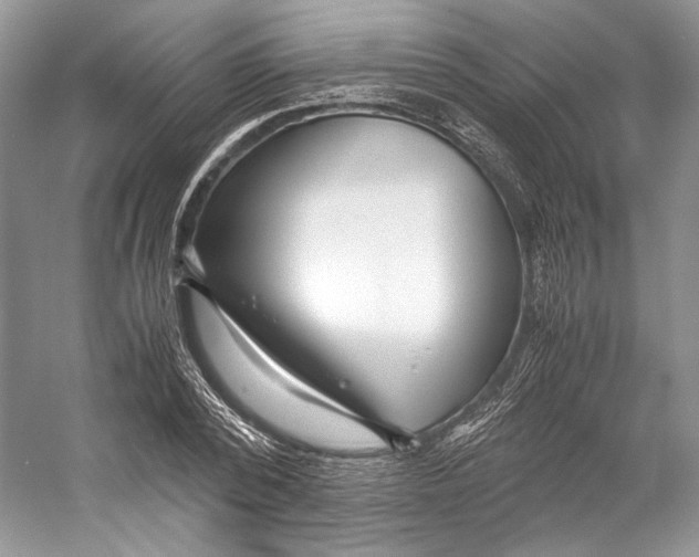 X0000053110784200508081224