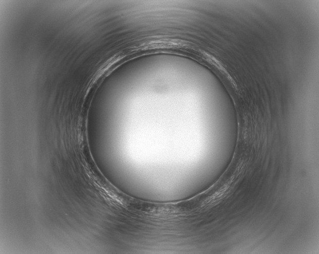 X0000053110786200508081224