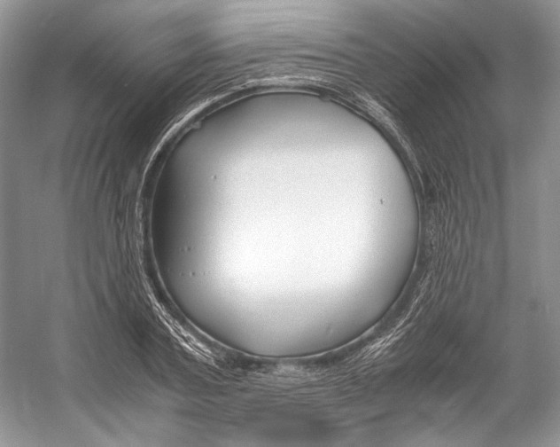 X0000053110787200508081224