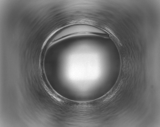 X0000053110788200508081224