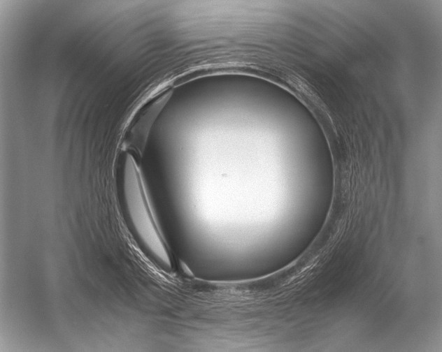 X0000053110789200508081224