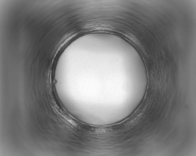 X0000053110790200508081224