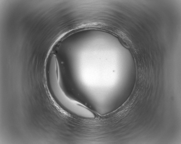 X0000053110792200508081224