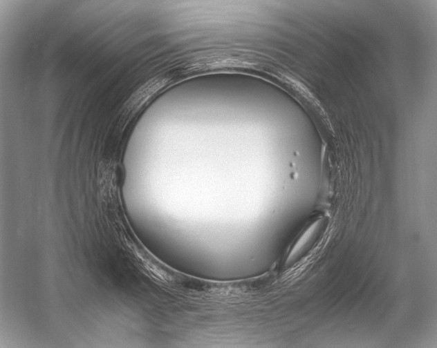 X0000053110793200508081224