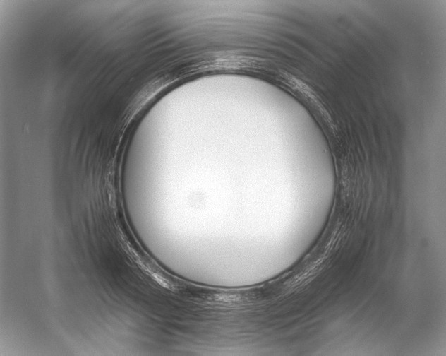 X0000053110794200508081224