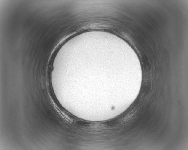 X0000053110795200508081224