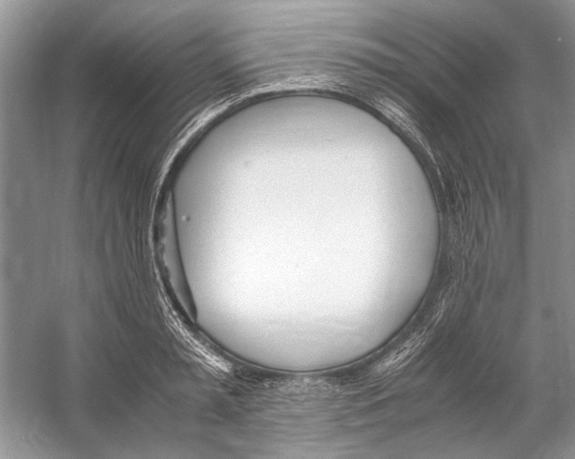 X0000053110797200508081224