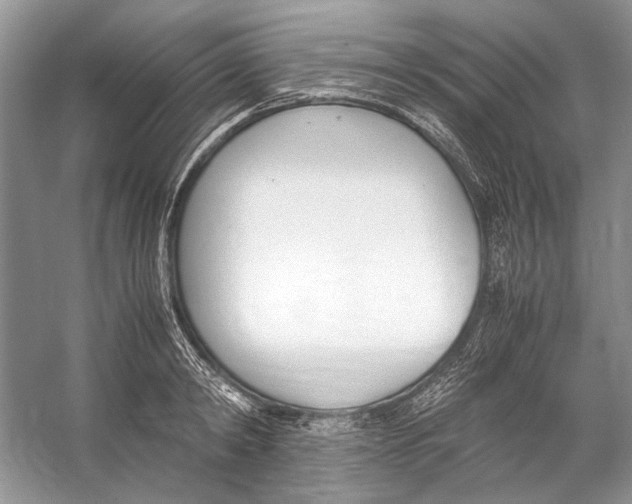 X0000053110798200508081224