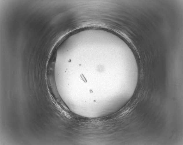 X0000053110799200508081224