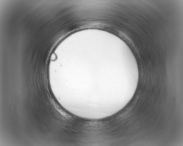 X0000053110800200508081224