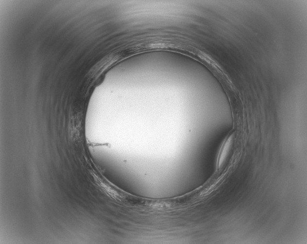 X0000053110801200508081224