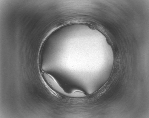 X0000053110803200508081224