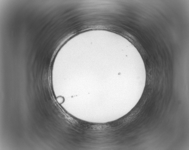 X0000053110804200508081224