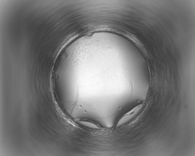 X0000053110806200508081224