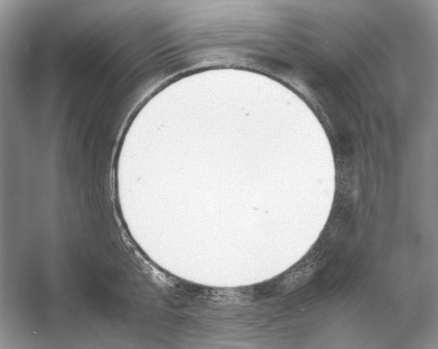 X0000053110807200508081224