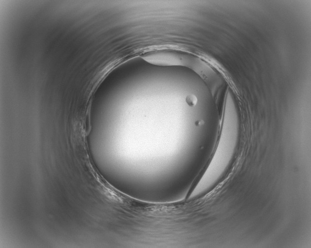 X0000053110809200508081224