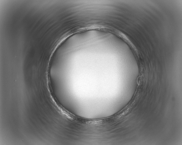 X0000053110810200508081224