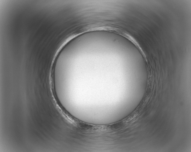 X0000053110811200508081224