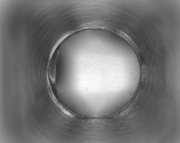 X0000053110812200508081224