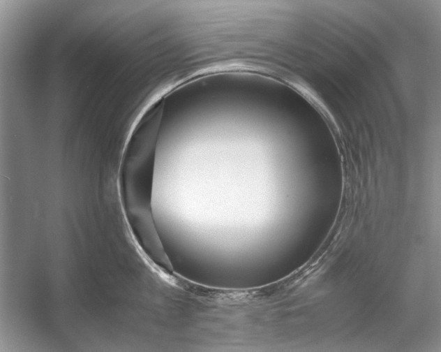 X0000053110813200508081224