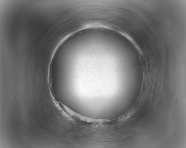 X0000053110815200508081224