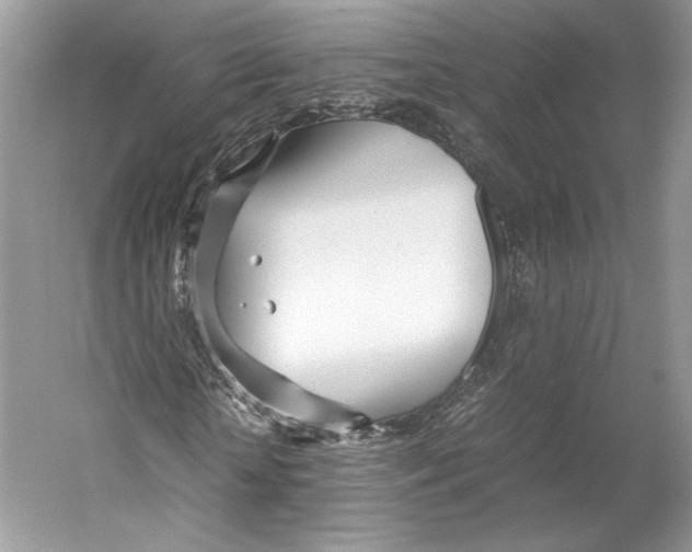 X0000053110818200508081223