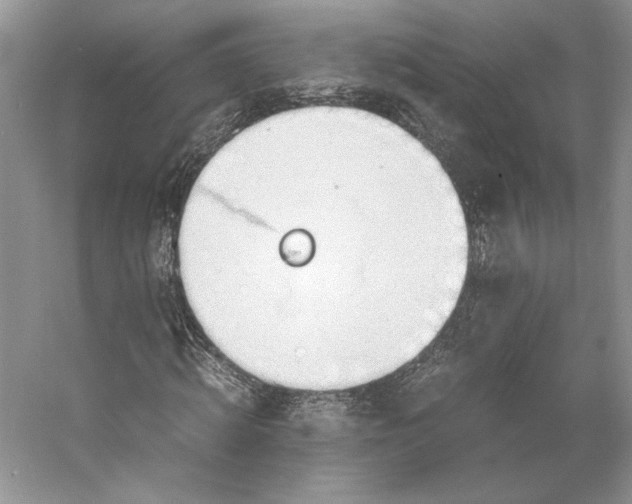 X0000053110820200508081223