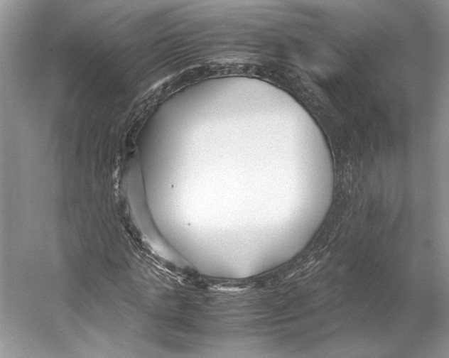 X0000053110821200508081223