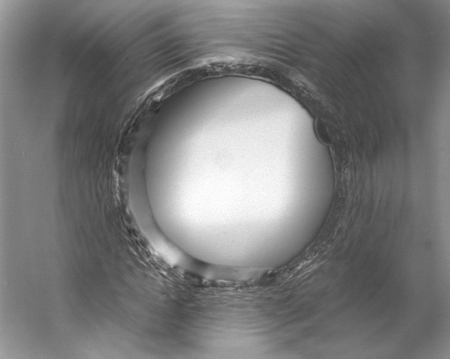 X0000053110822200508081223