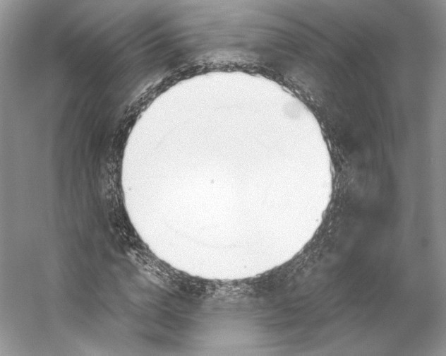 X0000053110824200508081223