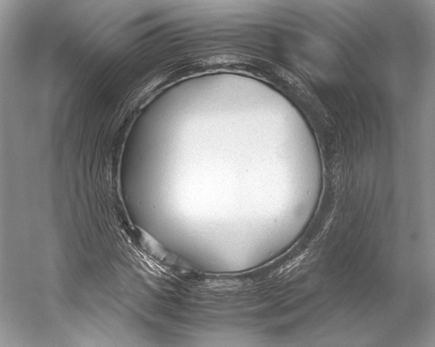 X0000053110825200508081223