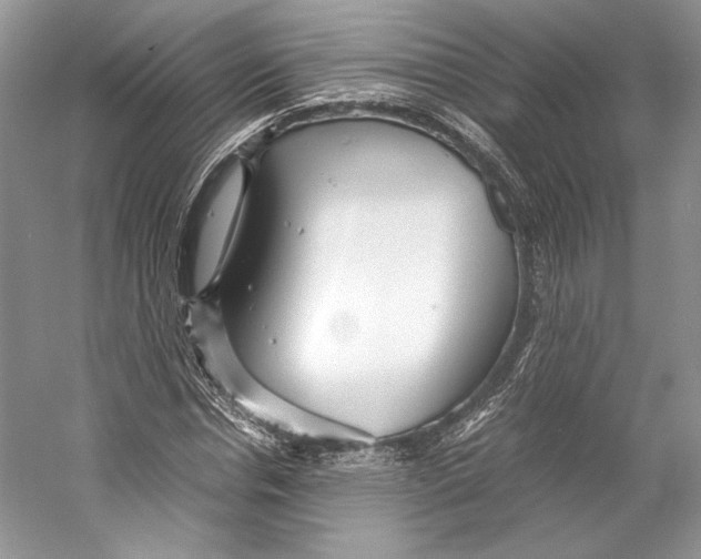 X0000053110826200508081223