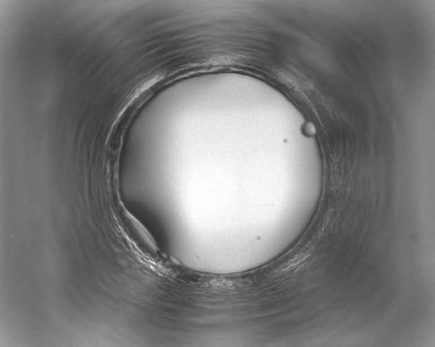 X0000053110827200508081223