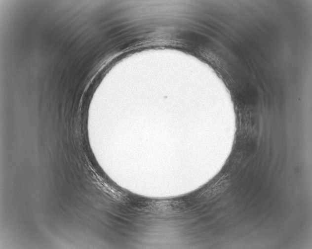 X0000053110828200508081223