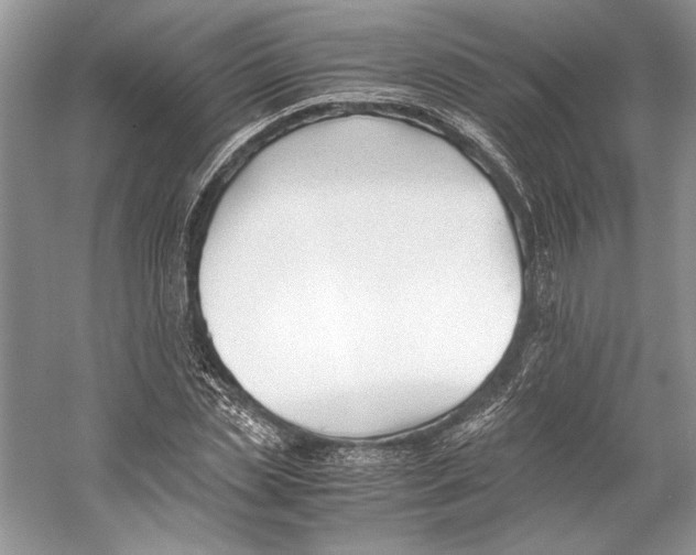 X0000053110829200508081223