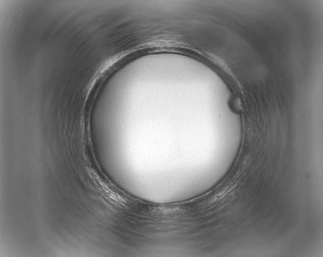 X0000053110831200508081223