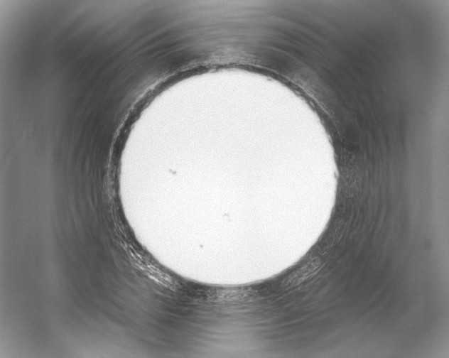 X0000053110832200508081223