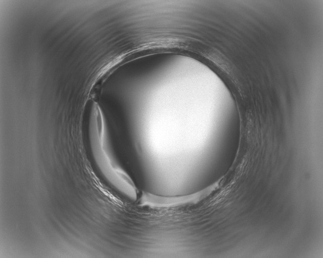 X0000053110834200508081223