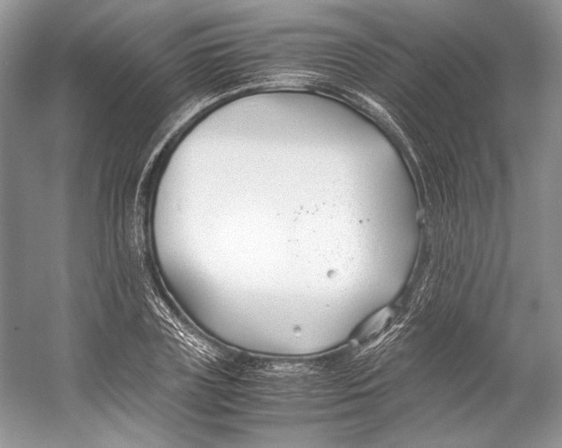 X0000053110835200508081223