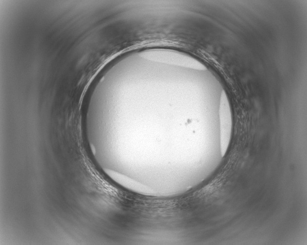 X0000053110836200508081223