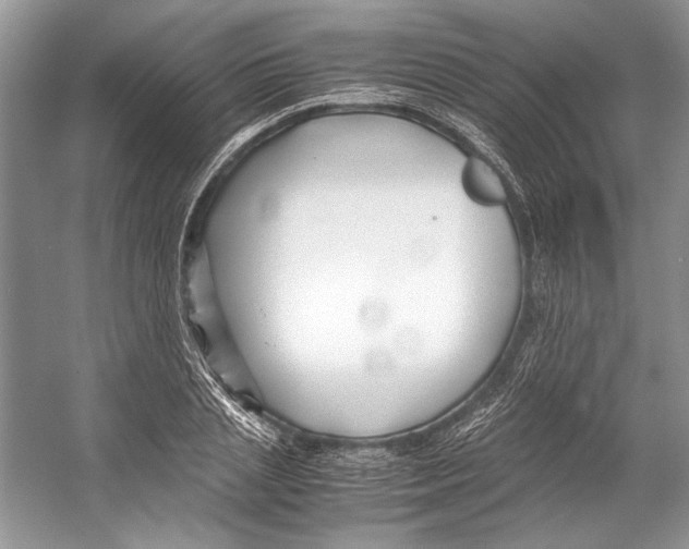 X0000053110837200508081223