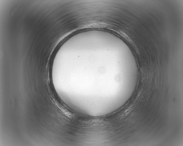 X0000053110838200508081223