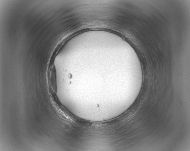 X0000053110840200508081223