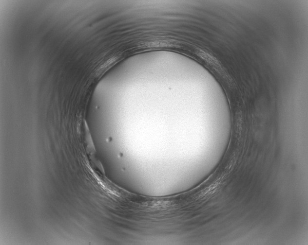 X0000053110841200508081223