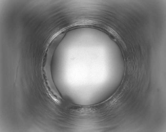 X0000053110842200508081223