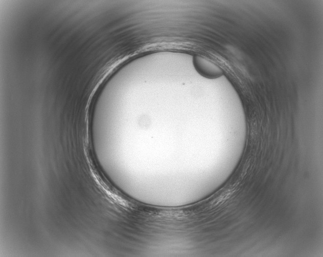 X0000053110844200508081223