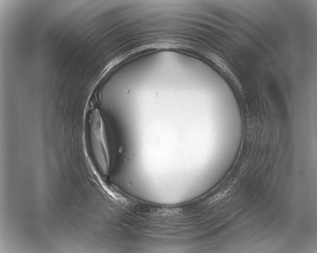 X0000053110845200508081223