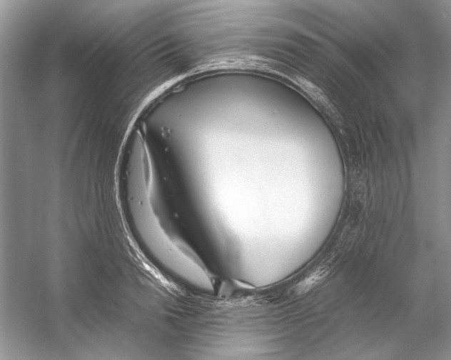 X0000053110846200508081223