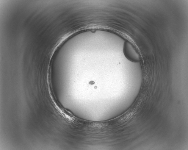 X0000053110847200508081223