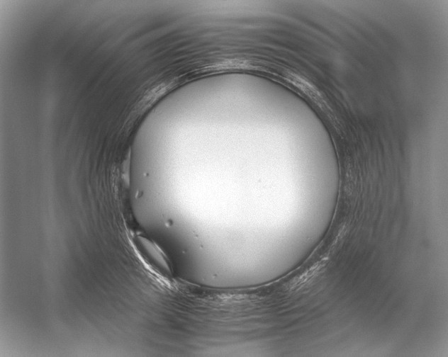 X0000053110849200508081223